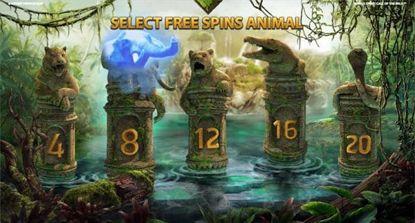 Free Spin Options