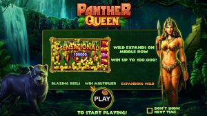 Panther Queen Slot Game Rules