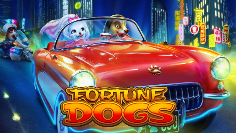 Fortune Dogs is a Fun Slot Game from Habanero