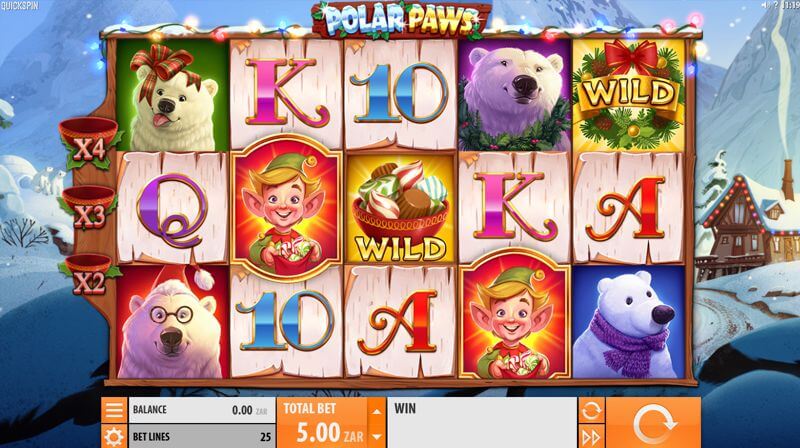 Polar Paws Video Slot Game