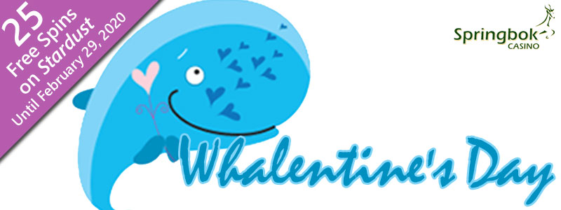 Celebrate Whalentine S Day With Incredible Whale Facts