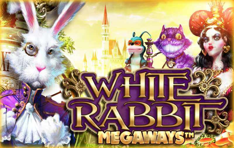 White Rabbit Take You on a Wild Ride Down the Rabbit Hole